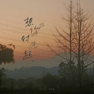 想你时风起