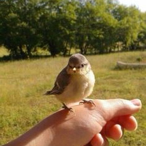 Strip That Down (slowed)