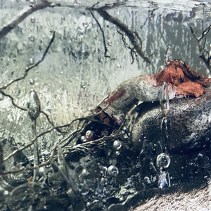 Jos maailma jäätyisi tänään