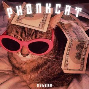 PHONKCAT - Sped Up Version