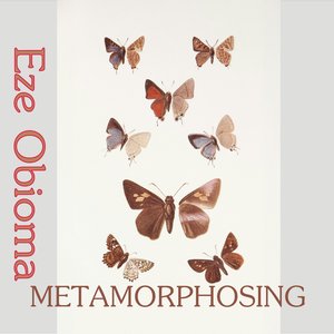Metamorphosing