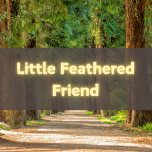 小さな羽の友達