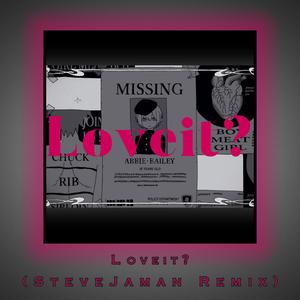 Loveit? (Remix)