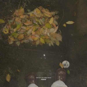 night rain and falling leaves（Instrumental Mix）