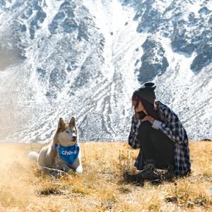 遗憾也值得（温柔男声弹唱）（翻自 王靖雯不胖）