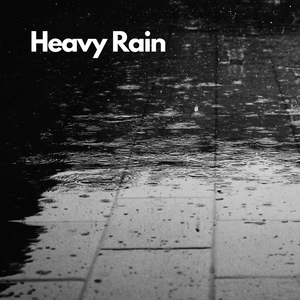Heavy Rain, Pt. 13