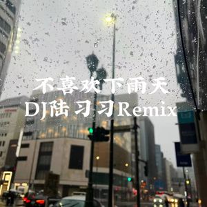 不喜欢下雨天（陆习习 remix）