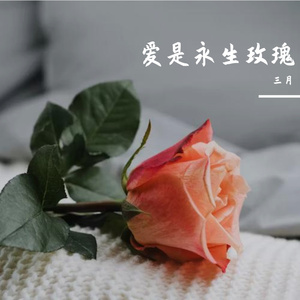 爱是永生玫瑰 伴奏