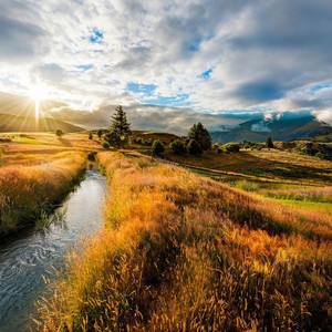 明日私を愛してくれませんか