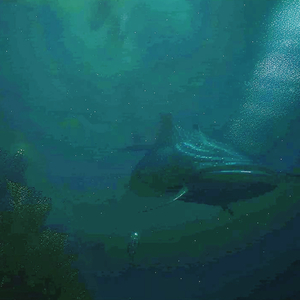 deaf sea