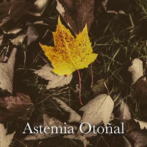 Relaja tu Mente, Cuerpo y Alma