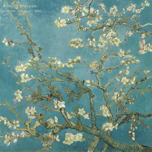 盛开的杏花（for 梵高）