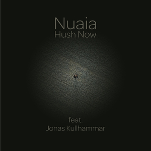 Hush Now (feat. Jonas Kullhammar)