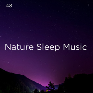 수면을위한 바다의 소리