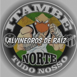 Toc Itambé Alvinegros De Raíz