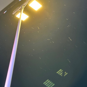 往事 是依附在心上的苔藓