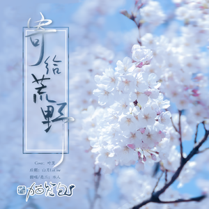 寄给荒野（cover叶里）