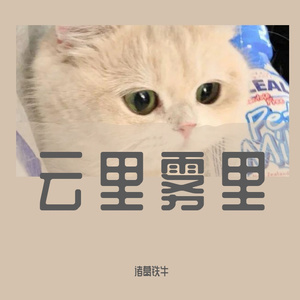 云里雾里