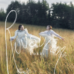 Lokki