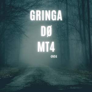 GRINGA DO MT4 001