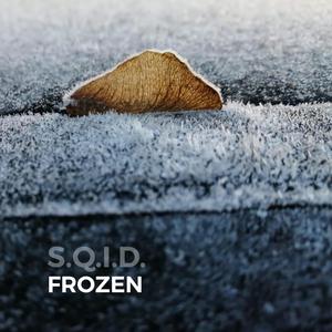 Frozen