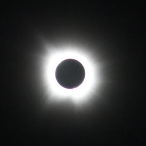 Alive on the Outside.