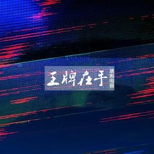 精神小伙社会摇 (Remix)