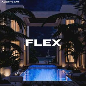 Flex (Extended Mix)