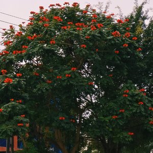 入秋了，该添被还是该添丝