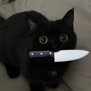 柔软注视