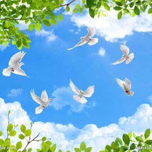 书香校园-郑万灏