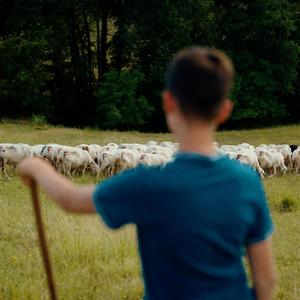 Suite Ciociaria