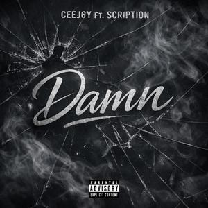 Damn (feat. Scription)