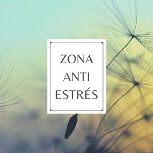 Zona Anti Estrés