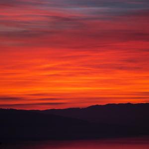 Robert John - Grieving Heart