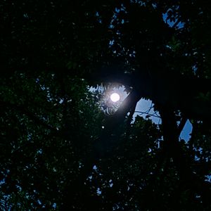 Moonlight (Prod.AISH)