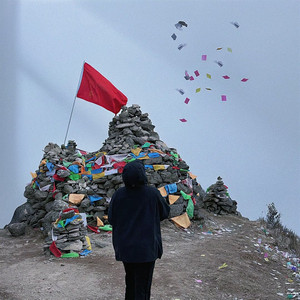 是她删了我好友