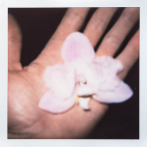 longue nuit / grande maison