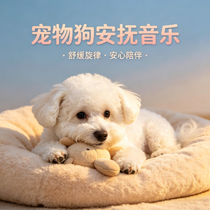 狗狗温柔纯音乐 温暖治愈