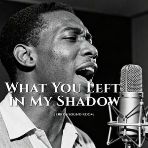 What You Left in My Shadow