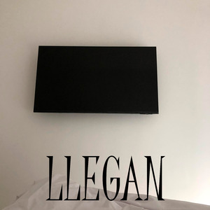 Llegan