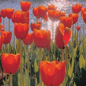 从来不存在的地址