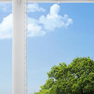 驴子在滨江公园