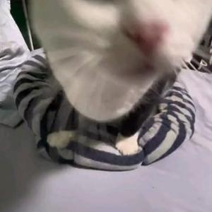 Alice - LSDXOXO (sped up)