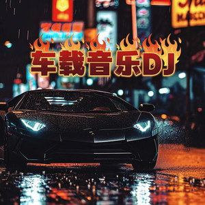 请先说你好 (dj车载版)
