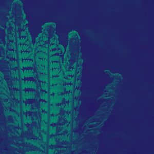 精彩在家冥想环境