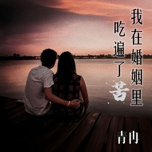 我在婚姻里吃遍了苦 (伴奏)