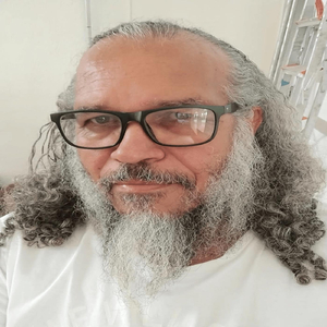 Almas Imantadas
