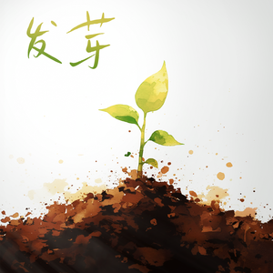 发芽