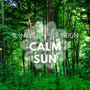 A Song for the Doctor